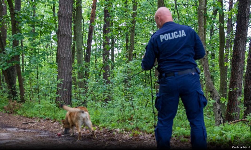 Obchody Narodowego Święta Niepodległości w Chorzowie