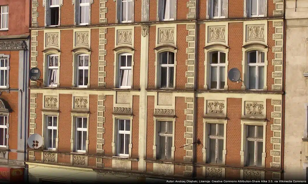 Szczeniaki czekają na nowych opiekunów w Schronisku PsiKot w Chorzowie