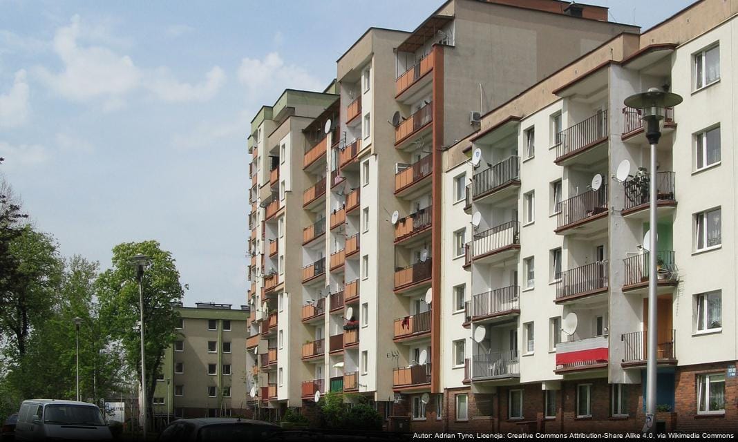 Odbiór Choinek Po Świętach w Chorzowie